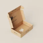 Mailer Box for Packaging